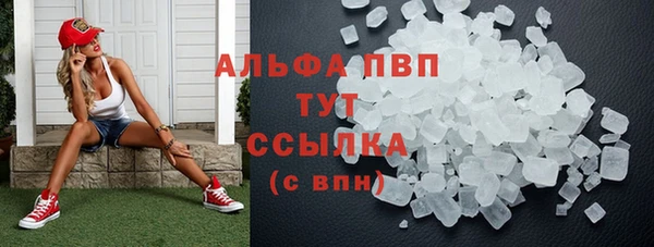 индика Верея