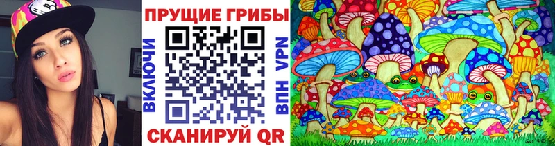 Псилоцибиновые грибы Cubensis  гидра как войти  Пересвет  где найти  